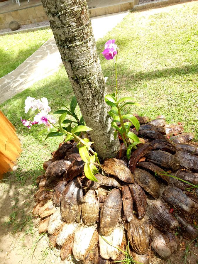 Chalets De Palma Đảo Đảo La Digue Ngoại thất bức ảnh